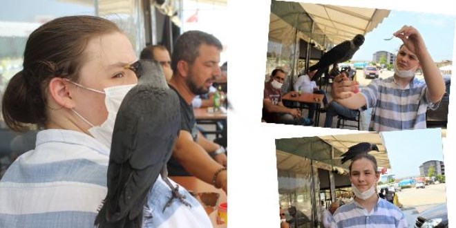 Karga bir an olsun yanından ayrılmıyor