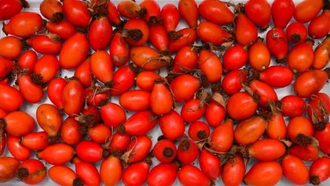 C vitamini alımınızı artırın<br>  C vitamininin en çok kuşburnu, biber, turunçgiller, maydanoz, marul, kivide bulunmakla beraber dışarıdan besinler yoluyla alındığını anlatan Yıldırım, şöyle devam etti: "Vücutta üretilmez. Fazlası da vücutta depolanmaz bu nedenle düzenli olarak dışarıdan alınması gerekmektedir. Çok kolay kayba uğrayan bir vitamindir.