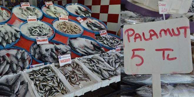 Palamut 5 liraya kadar düştü