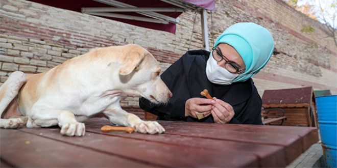 Emine Erdoğan, engelli köpek 'Leblebi'yi sahiplendi