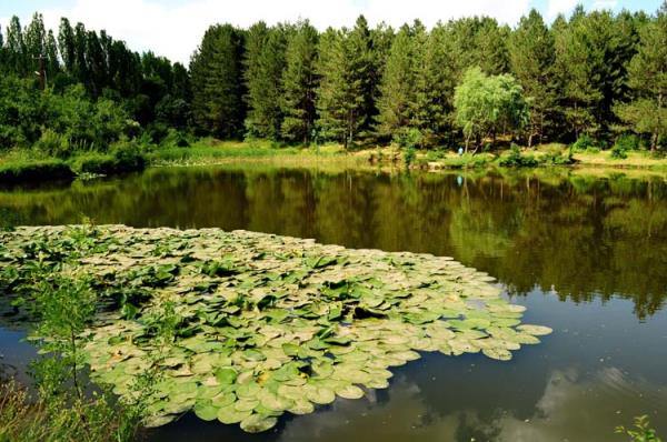 Çözüm süreci ile sağlanan huzur ortamının ardından kabuğunu kırmak isteyen kent, dağ ve yaylalarıyla da ön plana çıkmaktadır.