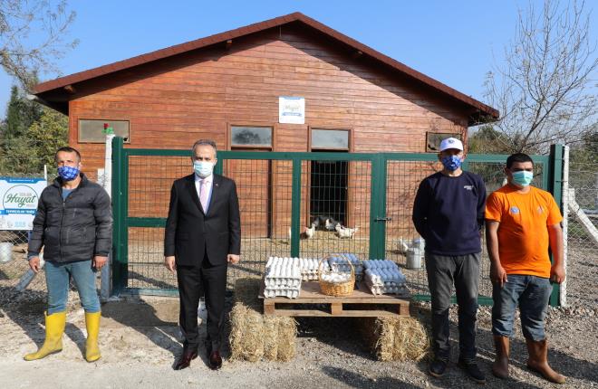 Bursa Büyükşehir Belediyesi’nin her yıl kış aylarında evsizler için sıcak bir yuva olarak kapılarını açtığı Barınma Evi, bu yıl hayata geçirilen tavukçuluk, mantar ve koyun yetiştiriciliği projeleriyle çaresizliğin umuda dönüştüğü yer oldu. Kış aylarını Barınma Evi’nde sıcak bir ortamda geçiren vatandaşlardan bu projelerde yarı zamanlı olarak görev alanlar, hem para kazanıyor hem de sigortaları ödeniyor.