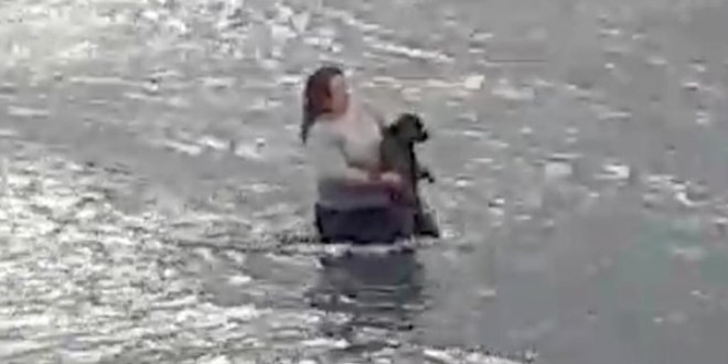Veteriner hekim soğuk suda şoka giren köpeği kurtardı