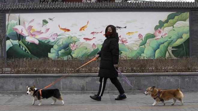 Yaşları 40 ila 54 arasında 2 bin 86 katılımcıyla yapılan araştırmaya göre; köpeklerin her yere dokunma ve sahiplerini kirletebilme ihtimalleri nedeniyle bu tarz yürüyüşlerde risk fazla...