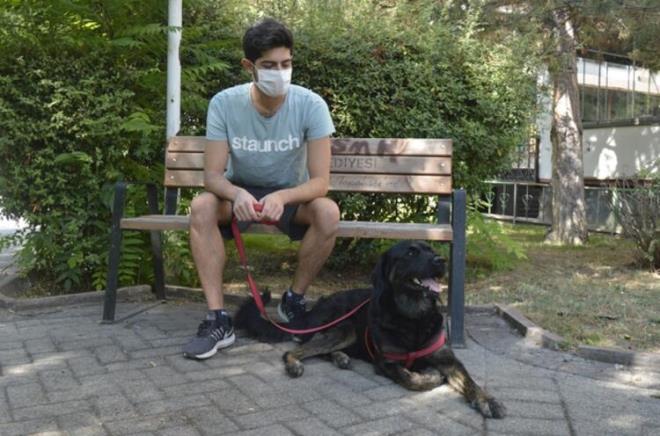 Köpek gezdirenlerin Covid-19 olma ihtimali yüzde 78 artıyor. Bu gruptaki insanların ekstra hijyen tedbirlerine başvurmaları gerektiği aktarıldı.