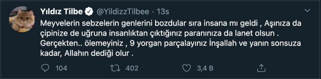 'Ölemeyiniz de 9 yorgan parçalayınız...'  <br>  "Meyvelerin sebzelerin genlerini bozdular sıra insana mı geldi" diye soran Yıldız Tilbe şöyle beddua etti:
