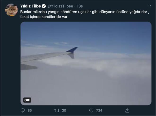 Koronavirüsün bilinçli olarak dünyaya yayıldığını savunan Yıldız Tilbe, "Bunlar mikrobu yangın söndüren uçaklar gibi dünyanın üstüne yağdırırlar , fakat içinde kendileride var" iddiasında bulundu...