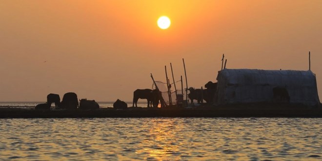 Mezopotamya'nın saklı güzelliği: Bataklıklar