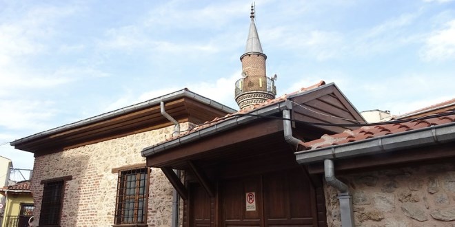 Asırlık selvi restorasyon kurbanı