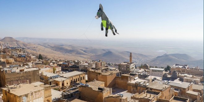 3 boyutlu 'kadrolu eşek' uçurtmaları, Mardin semalarında