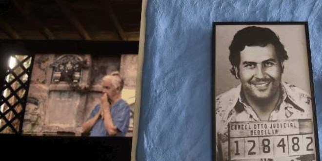 Bilim insanları: Pablo Escobar'ın su aygırları yok edilmeli