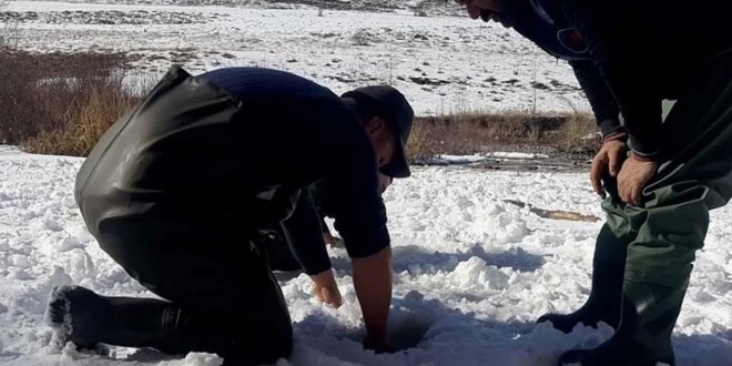 Buz tutan nehirde balık avı
