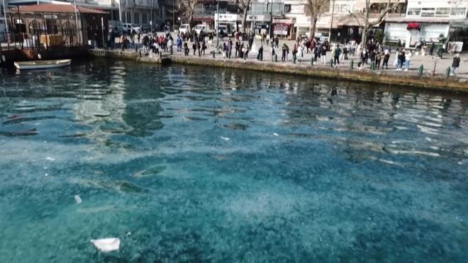 Çevre sakinleri ise, denizdeki yoğun kirlilikle birlikte denizanalarının ortaya çıkardığı manzarayı görüntü kirliliği olarak değerlendirdi.