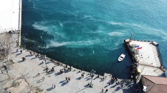"Herkes neden bu kadar çoğalıyor demişti ama zaten denizanaları Marmara Denizi'nde yoğun olarak bulunuyor. Öncelikle bunu bilmemiz lazım. Ama daha çok havalar sakin ve güneşli olduğu zamanlarda daha çok açıklarda bulunur bu türler. Fakat geçen hafta yoğun bir kar yağışı vardı. Poyrazla birlikte Karadeniz üzerinden bir hava akımı geldi kar yağdı, bütün İstanbul karın çilesini yaşadı. İşte bu süreçte poyrazla birlikte akıntı sistemi olsun, dalgalar genellikle İstanbul'un sahil kısmında birikti. Nereler bunlar, Arnavutköy, Ortaköy, Beşiktaş sahilleri. Buralarda yoğun miktarda denizanaları birikimleri olur, normaldir. Rüzgarla birlikte taşınıyorlar. Rüzgarla birlikte sadece denizanaları değil, her türlü çöp, plastik atıkları vb. açıkta olan kirlilikler rüzgarla birlikte kıyıya birikir. İnsanlar da birden bu görüntüyü görünce rahatsız olurlar" ifadelerini kullandı.