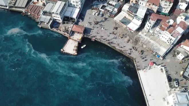 Sahilde balık tutan balıkçılar, denizanalarının çokluğundan dert yandı, oltaya balık yerine denizanası geldiğini belirtti.