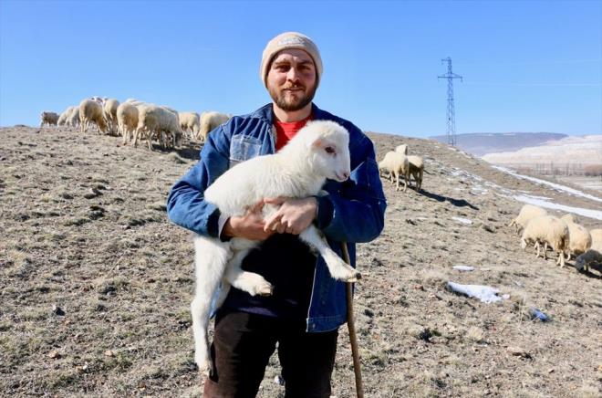 Geçen yıl da askerlik görevini tamamladığını ifade eden Çelik, şöyle konuştu:    "Eskişehir Barosu'na kayıtlı avukatım. Öğrencilik hayatım boyunca da bir hukuk bürosunda çalıştım. Stajımı da tamamlayıp 1,5 yıl önce avukatlık ruhsatımı aldım. Ruhsatım da baroya kaydım da öylece duruyor. Avukatlık yapmayı şu an için düşünmüyorum. Şimdi hayvanlarımla mutluyum. İnsanlar kendi sevdikleri işi yapmaktan ziyade paraya bakıyor. 'Önce kazancım olsun daha sonra mutlu olurum.' diye düşünüyorlar ama huzurlu değiller. Ben huzurluyum. Bir ihtiyacım da yok. Paramızı da kazanıyoruz. Bir sıkıntım olduğunda babama ve amcama danışıyorum. Ağabeyim ve annem de yardımcı oluyor. Şu anda yaklaşık 200 küçükbaş hayvanımız var."
