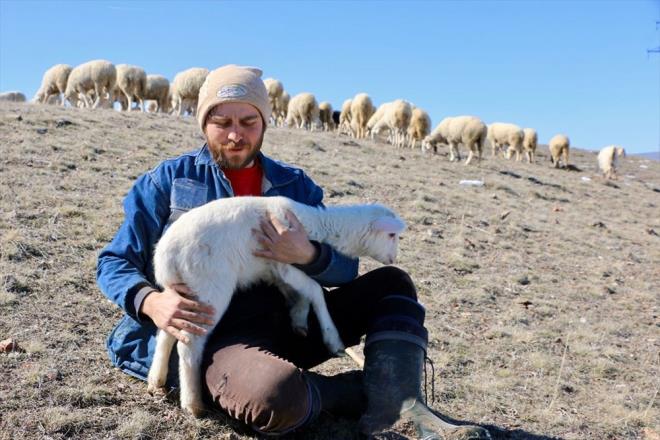 Daha sonra kendi yoluna baktığını vurgulayan Çelik, şunları kaydetti:    "Kendi mutlu olduğum şekilde yaşamak istedim. Avukatlık da güzel bir meslek. Saygınlığı ve statüsü var ancak insan bir işi severek yapmalıdır. Ben çobanlığı daha çok sevdiğimden bu işi yapıyorum. Avukatlık için birçok iş teklifi de geldi. Ben burada kalmak istedim. Buraya alışmışız. İnsanlardan uzak, kendi halimizdeyiz. Şehre gidip tıkılı kalmak istemiyorum. Çevrem ve ailem bana 'Sen git avukatlık yap, burada hayvanlarla uğraşma.' diyor. Sevdiğim işi yapmam nedeniyle huzur doluyum. Avukatlık bir durum olunca gelip beni buluyorlar. Danışıyorlar. Elden geldiğince insanlara yardımcı oluyorum ancak aktif avukatlık yapan arkadaşlarıma da yönlendiriyorum."