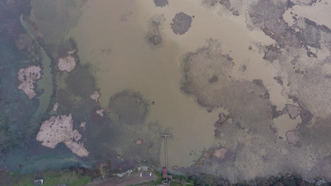 Leylek, yaban ördeği, tepeli beyaz balıkçıl, angut, sakar meke, kuğu, sakarca, yeşilbaş, fiyu, bekri, çıkrıkçın, kılkuyruk, kaşıkçın, elmabaş, pasbaş, gri balıkçıl, turna, toy, mezgeldek, çulluk, karatavuk, kızkuşu, karabatak gibi kuşların konakladığı bölge, kuş gözlemcilerinin ve doğaseverlerin ilgisini çekiyor.