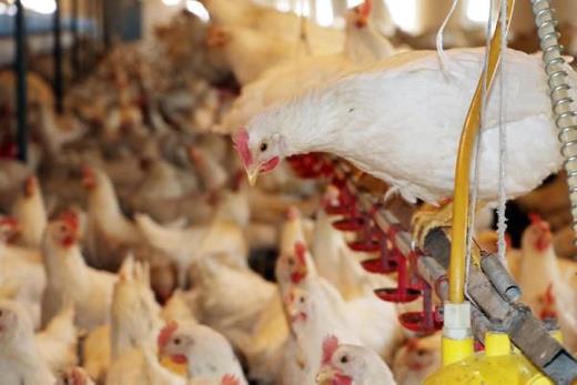 "Bu işten muzdarip olan sanatçılık, müzik sektörü" diyen Sabah "Onun için isabetli bir iş yaptık. Kendi kendimize pozitif enerji yollayalım. Allah yolumuzu açık etsin diyorum? şeklinde konuştu.