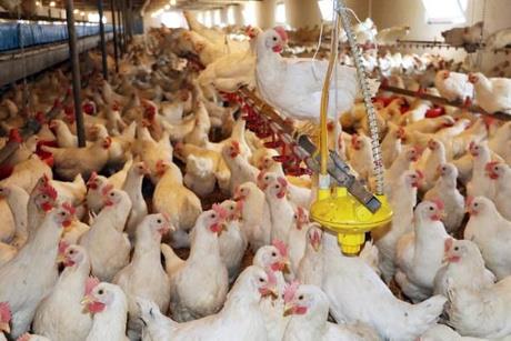 Salgın döneminde müzik piyasasına değinen Sabah "Konuşmalarından hissediyorum. Çünkü hakikatten bitti. 10-11 aydır hiç kimse para kazanamıyor. Kazanç bitti bizim meslekte. Çünkü bu pandemi meslek seçiyor." dedi.