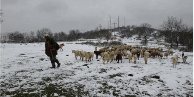 Trakya'da 10 santimetre kar
