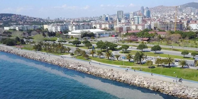 Kartal sahilinde görüldü, endişe yarattı