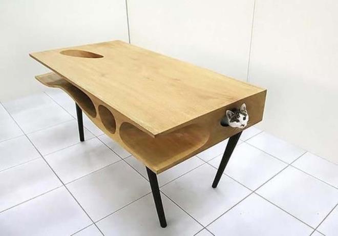 Kedi severler için gayet güzel bir masa.