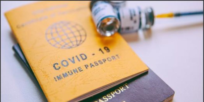 AB ülkelerine seyahat birden fazla aşı pasaportu gerektirebilir