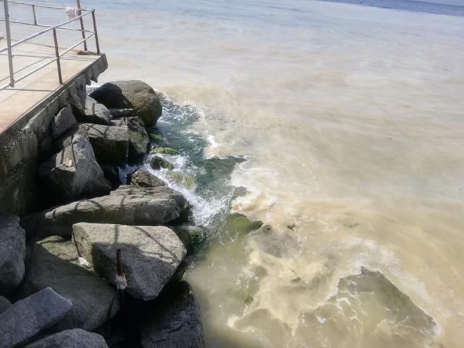Marmara Denizi'nde son zamanlarda sıkça görülen deniz salyası Marmara Denizi'nin Avşa adası kıyılarını kapladı. Denizin üzerini saran tabakayı görenler, şaşırırken, bazı kişiler de cep telefonlarının kameralarıyla fotoğraf ve görüntü çekti.