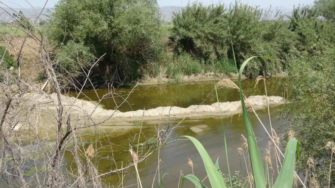 "NEHRİ, İLK DEFA BÖYLE GÖRDÜM"    Büyük Menderes Nehri'nin her gün suların azalarak kuruma noktasına geldiğini belirten, İncirliova Ziraat Odası Başkanı Ali Kaykı, "Aralık ayından bu yana yağmurlar yeterli seviyede yağmadı. Bu nedenle yıla kurak bir başlangıç yaptık. Mayıs ayının ilk haftaları Büyük Menderes Nehri'nde 2.5 metre yükseklikte su vardı.    53 yaşındayım, bu aylarda Büyük Menderes Nehri'nin bu şekilde kuruduğunu hiç görmemiştim. Çiftçilerin bu suya ihtiyacı var. Çok az sayıda su olduğu için çekme şansımızda yok. Tespitlerimize göre Nazilli'den Söke Ovası'na kadar 32 bin dekar ot yatağımız su bekliyor. Adnan Menderes, İkizdere ve kemer Barajları'ndan da sulama için Büyük Menderes'e su salınması için çok erken. Baraj kapaklarının açılması haziran ayını bulur. Çiftçilerde çaresiz durumda. Su olmayınca tarımsal üretimde durma noktasına geliyor"