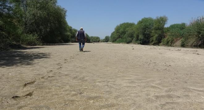 Afyonkarahisar'ın Dinar ilçesinden çıkarak Uşak, Denizli ve Aydın'dan geçerek Ege Denizine dökülen 584 kilometre uzunluğundaki Büyük Menderes Nehri, en kurak dönemlerinden birini yaşıyor.