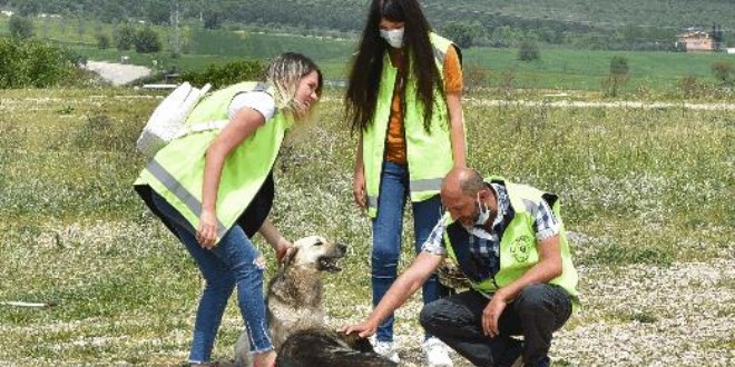 Gönüllüler can dostlar için yasağı deldi