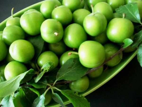 Demir eksikliğini önlemedeki tedavi sürecinde yardımcıdır. Yeşil erik, vücutta kan yapımına yardımcı olur. Ayrıca, anemi gibi kırmızı kan hücrelerinin eksikliği ile ilgili hastalıkları erikteki zengin C vitamini ve demir içeriği engellemeye yardımcı olur.