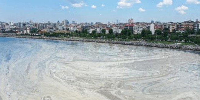 Marmara Denizi nasıl kurtulur? 3 aşamalı çözüm önerisi