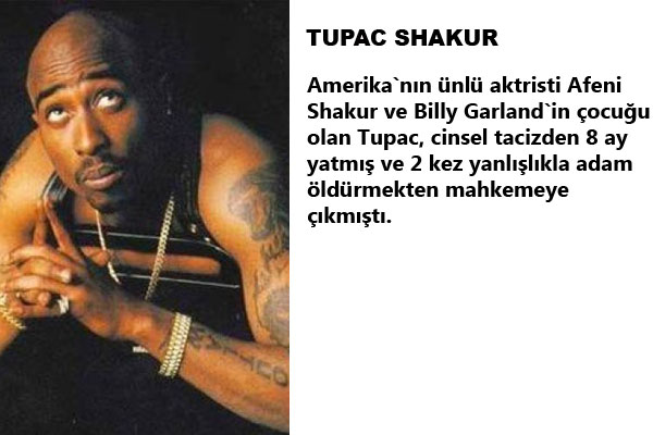 Onlar ünlü fakat onlarda insan... Üstelik hırsızı da var, cinayet işleyeni de, tecavüz edeni de... İşte Ünlü yıldızların sabıkaları!