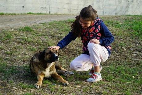 Sabah saatlerinde köyde oluşan keskin koku sonrasında köy sakinleri tarafından yapılan araştırmada evlerin hemen yakınında bulunan mezarın büyük oranda açıldığı ve keskin kokunun da çürümeye başlayan cesetten geldiği fark edildi.