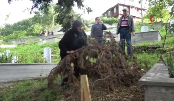 Dışarı çıkamadıklarını dile getiren Sezer "Bizde buraya gelip mezarın üzerini tekrar kapattık. Açtığı yer belli. Akşam namazından sonra köyümüzde dışarı çıkmıyoruz. Kiraz bu yıl bol, bu yüzden kirazlara devamlı ayı geliyor." dedi.