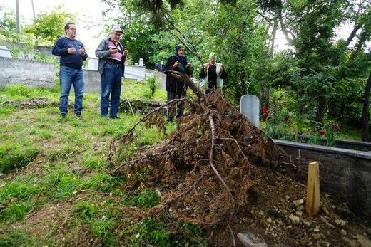Mezarı büyük oranda açan ayının çıkardığı sese bir süre sonra köyde bulunan çoban köpekleri tepki vermeye başladı. Köpeklerin toplu halde havlamalarına bazı köy sakinlerinin de tepki vermesi sonucunda ayı, cesedi mezardan çıkaramadan ormanlık alana kaçarak gözden kayboldu.