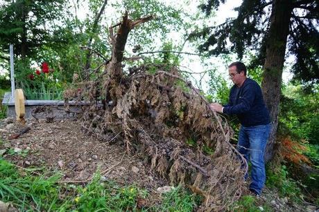 Ayı, 3 gün boyunca aynı noktada gezinmeye başladı. İlk zamanlarda meyve ağaçlarına musallat olan ve meyve ağaçlarına büyük zarar veren ayı, daha sonra koku duyusunu da kullanarak köy mezarlığına yöneldi.