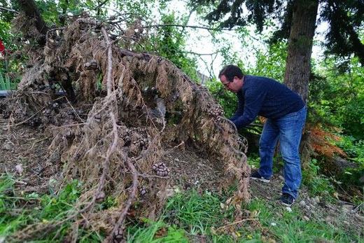 Köyde sürekli ellerinde sopalarla dolaşan ve özellikle akşamları evlerinden dahi çıkamayan köy sakinleri, can güvenliklerinin olmadığını belirterek yetkililere önlem almaları çağrısında bulundu.