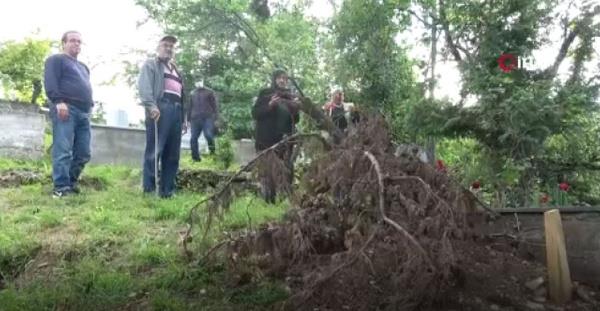"Kiraz yiyorlar, sebze meyce yiyorlar" diyen Gökdemir  "Bugün ölüye zarar veren yarın canlıya da zarar verecek. Bu daha vahim. Burada çocuklarımız var. Kaçamazlar. Hayvan ise aç, ne yaptığını bilmez? şeklinde konuştu.