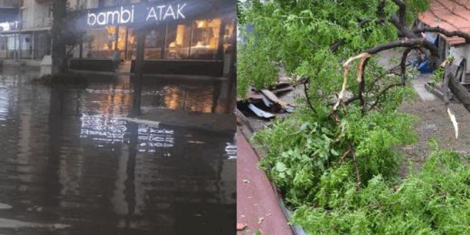 Sağanak ve fırtına nedeniyle evlerin çatıları uçtu ve ağaçlar devrildi