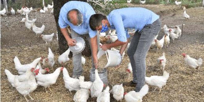 Çaresizlik üretimle umuda dönüşüyor