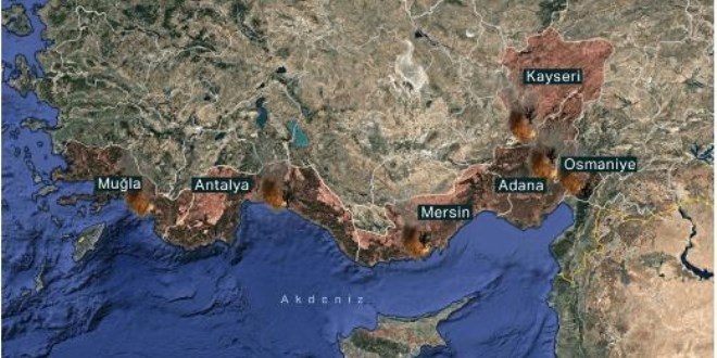 Antalya, Adana, Mersin, Muğla, Osmaniye ve Kayseri'de orman yangınları