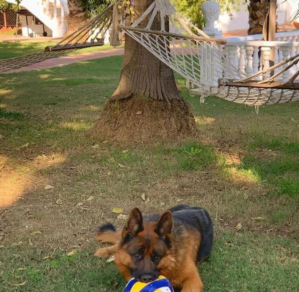 Sağlığınızı, kendinizi ihmal etmeyin."