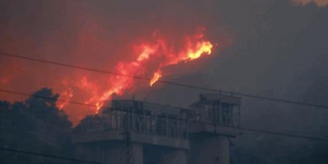 Orman yangını Termik Santrali'nin tel örgülerine kadar yaklaştı