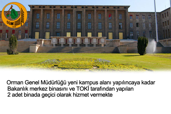 Orman Genel Müdürlüğü