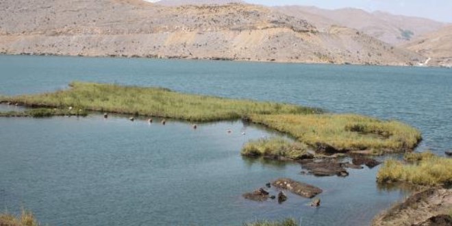 Baraj gölündeki yüzen adalar sabitlenecek