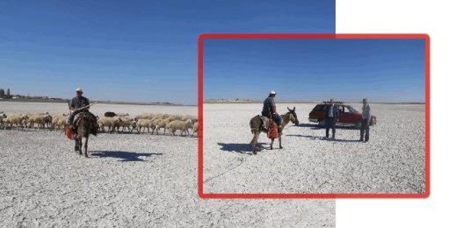 Aksaray'da flamingoların uğrak noktası Akgöl kurudu
