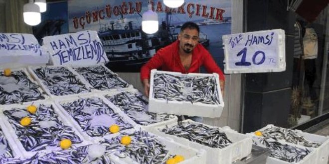Hamsinin kilosu 10 liraya düştü